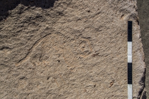 Piedra: 1363, Cara decorada: II