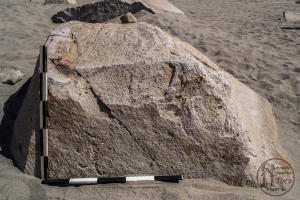 Piedra: 1365, Cara decorada: II