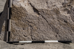 Piedra: 1365, Cara decorada: II