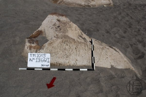 Piedra: 1366, Cara decorada: I