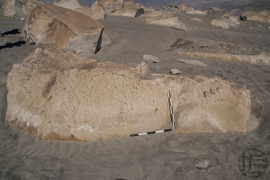 Piedra: 1368, Cara decorada: I