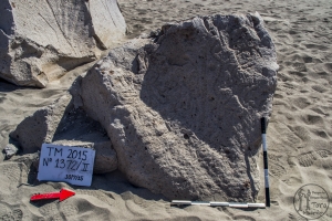 Piedra: 1372, Cara decorada: II