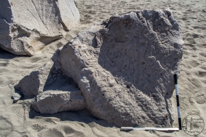 Piedra: 1372, Cara decorada: II