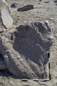 Piedra: 1372, Cara decorada: II