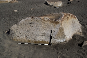 Piedra: 1377, Cara decorada: II