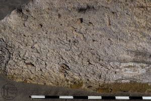 Piedra: 1377, Cara decorada: II