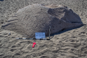 Piedra: 1377, Cara decorada: I