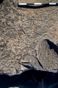 Piedra: 1383, Cara decorada: II