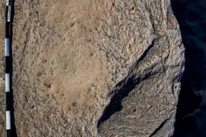 Piedra: 1383, Cara decorada: II