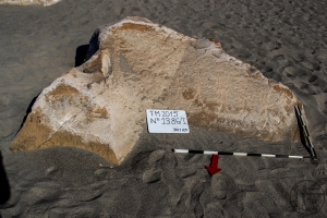 Piedra: 1386, Cara decorada: I