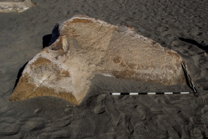 Piedra: 1386, Cara decorada: I