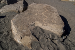 Piedra: 1388, Cara decorada: I
