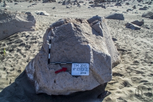 Piedra: 1391, Cara decorada: II