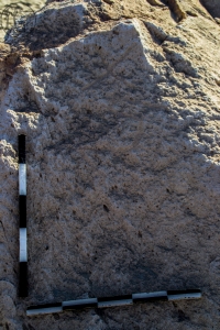 Piedra: 1391, Cara decorada: II