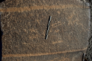 Piedra: 1392, Cara decorada: I