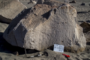 Piedra: 1393, Cara decorada: I
