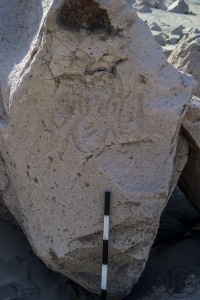 Piedra: 1394, Cara decorada: II