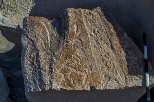 Piedra: 1395, Cara decorada: I