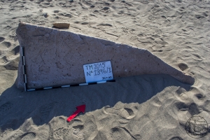 Piedra: 1396, Cara decorada: II