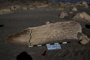 Piedra: 1396, Cara decorada: I