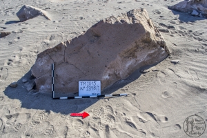 Piedra: 1398, Cara decorada: I