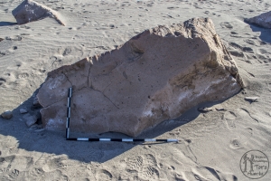 Piedra: 1398, Cara decorada: I