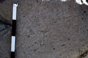 Piedra: 1398, Cara decorada: I