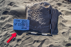 Piedra: 1399, Cara decorada: I