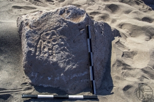 Piedra: 1399, Cara decorada: I