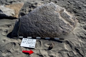 Piedra: 1403, Cara decorada: I