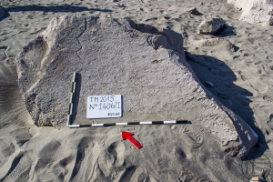 Piedra: 1406, Cara decorada: I