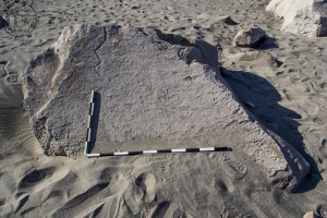 Piedra: 1406, Cara decorada: I