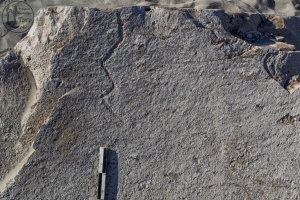 Piedra: 1406, Cara decorada: I