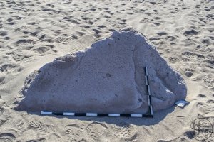 Piedra: 1407, Cara decorada: I