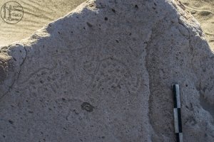 Piedra: 1407, Cara decorada: I
