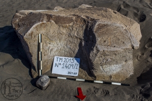 Piedra: 1409, Cara decorada: I