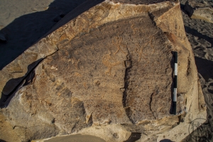 Piedra: 1412, Cara decorada: III