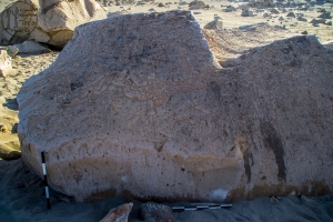 Piedra: 1412, Cara decorada: I