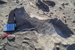 Piedra: 1416, Cara decorada: I