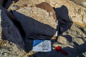 Piedra: 1420, Cara decorada: I