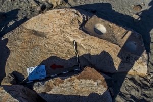 Piedra: 1421, Cara decorada: II