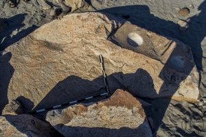 Piedra: 1421, Cara decorada: II