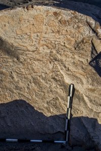 Piedra: 1421, Cara decorada: II