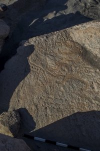 Piedra: 1421, Cara decorada: II