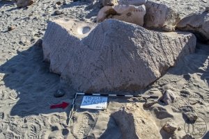Piedra: 1421, Cara decorada: I