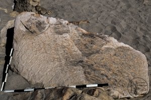 Piedra: 1423, Cara decorada: I