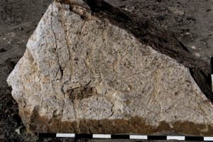 Piedra: 1424, Cara decorada: I