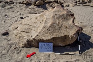 Piedra: 1425, Cara decorada: I