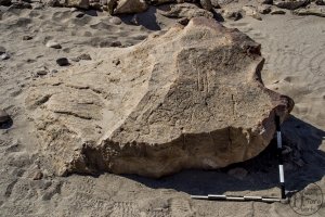 Piedra: 1425, Cara decorada: I