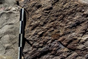 Piedra: 1426, Cara decorada: I
